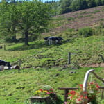 Ferme auberge du Bruckenwald