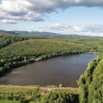 Plan d'eau - Réserve naturelle