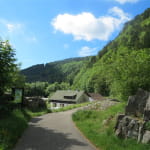 Pêche au lac d'Alfeld