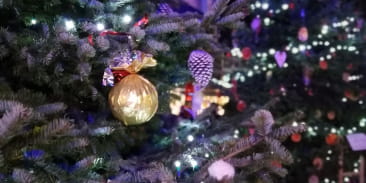 Un noël enchanteur à Thann