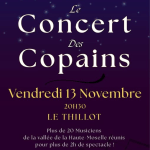 Les concerts des copains