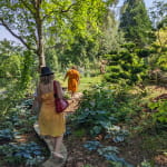 Le Jardin Mil'feuilles