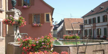 Fontaine de la mairie à Pfaffenheim