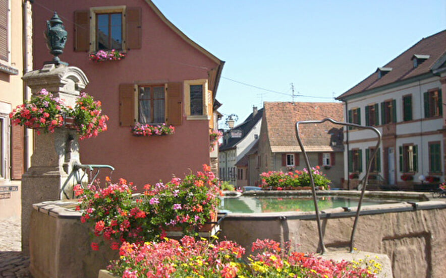 Fontaine de la mairie à Pfaffenheim