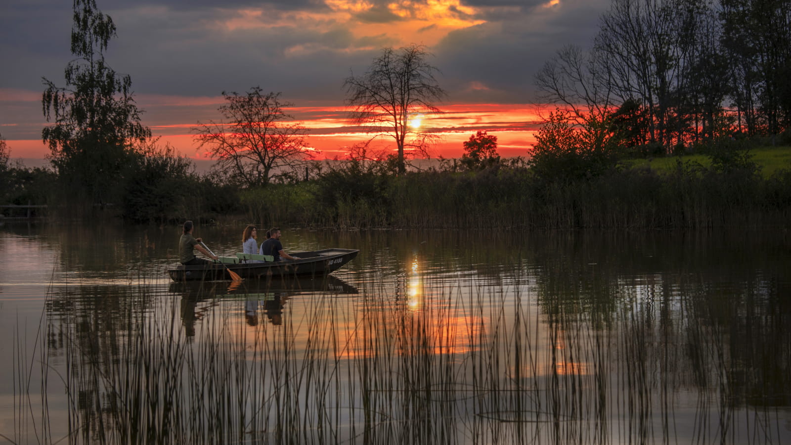 Balade en barque au coucher du soleil à l'étang de Saint-Bresson